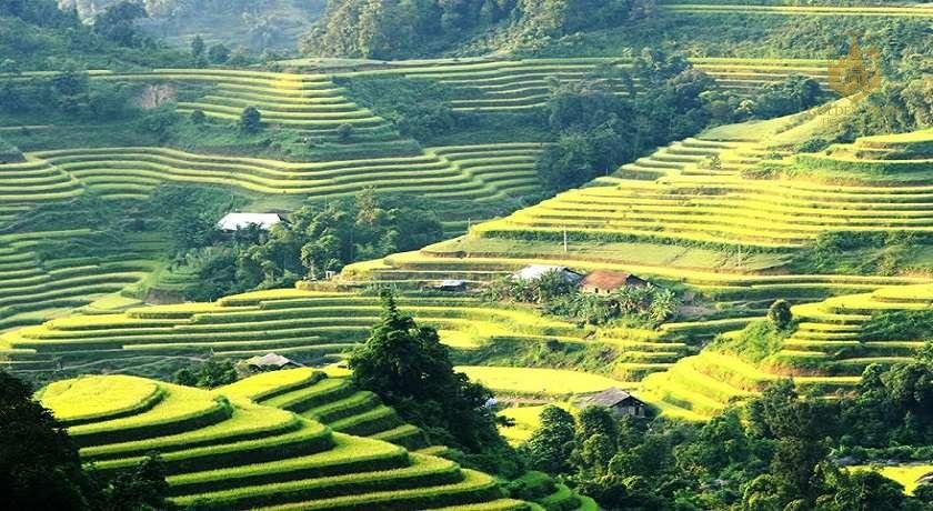 Vietnam Mountain Trail Explorer 8 Days | Sapa, Ha Giang & Bac Ha